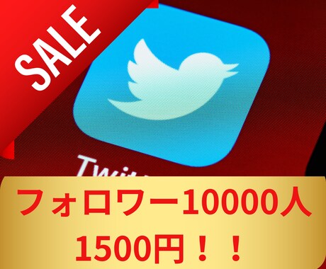 爆安！ツイッターのフォロワー10000人増やします 赤字覚悟の大特価！2月19日までの期間限定です！ イメージ1