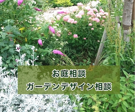 お庭づくりやお困りごとにプロがお答えします イメージ1