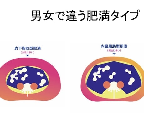 エステティシャン必見！脂肪細胞の知識をお伝えします 年間講座200件以上！業界最大手メーカー元講師が担当します。 イメージ2