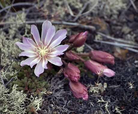 あなたのお悩み何でもライトワーカーがお聴きします １分でもだいじょうぶですよ！心を軽くしてあげましょう♡ イメージ2