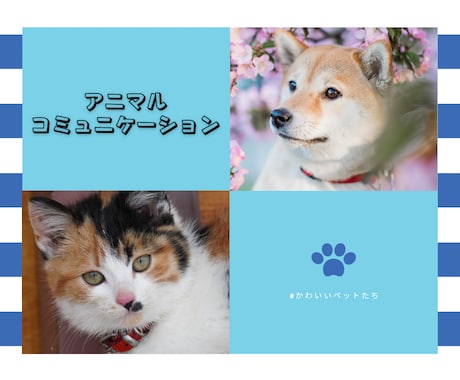 アニマルコミュニケーションします その行動、ちゃんと理由があります イメージ1