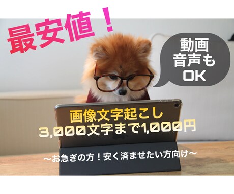文字起こし・入力代行します 入力量が多いもの・料金を安く頼みたいかた大歓迎です！！ イメージ1
