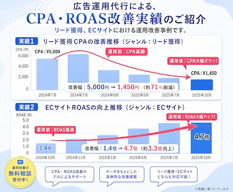 Meta広告の設定・運用をプロがレクチャーします 課題が明確に｜初心者〜中級者OK・画面共有レクチャー イメージ2