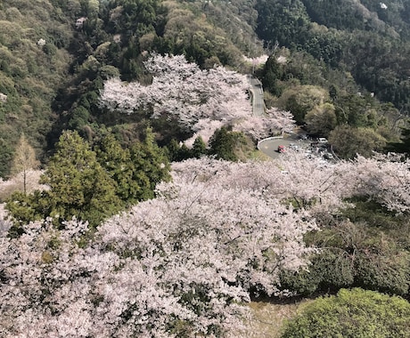 松山市内、また周辺地域の観光のお手伝いいたします お城に興味ある方、現地で俳句を楽しみたい方オススメ致します。 イメージ2