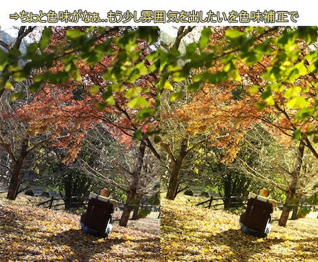 コスプレ写真の加工致します 自然な仕上がりと、ちょっとの二次元感を意識して仕上げます！ イメージ2