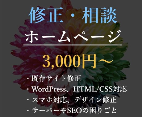 ホームページ（HP）の修正・カスタマイズをします WordPressやWEBサイトの修正・カスタマイズを実施！ イメージ1