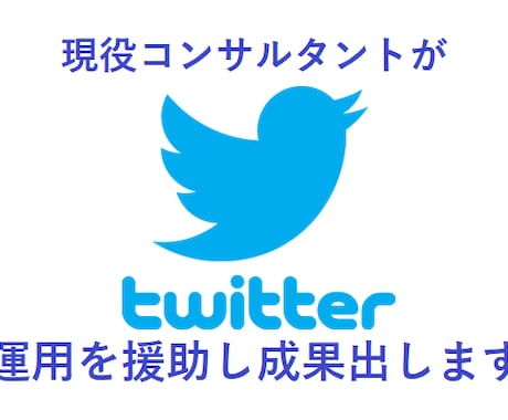 Twitter運用に関する全般的な施策を提案します 100件以上実績アリの現役ウェブマーケターが懇切丁寧に イメージ1