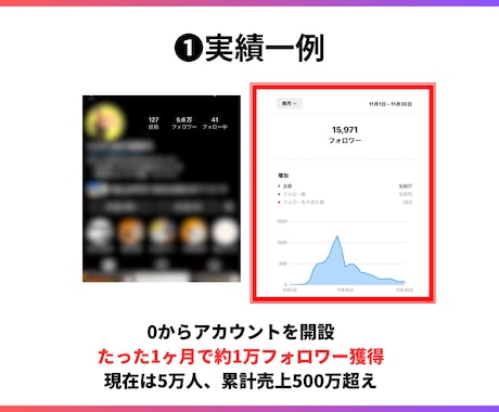 30日でインスタ1万人獲得した僕がアドバイスします 手厚くサポートさせていただきます！実績は画像へ イメージ1