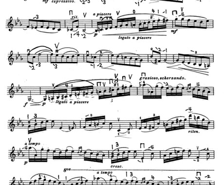 ボウイング・フィンガリングをご提案いたします プロのヴァイオリン奏者が、あなたに合うやり方を見つけます イメージ2