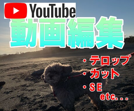 動画広告など編集いたします TikTok・ストーリーズなどの動画広告実績あり イメージ1