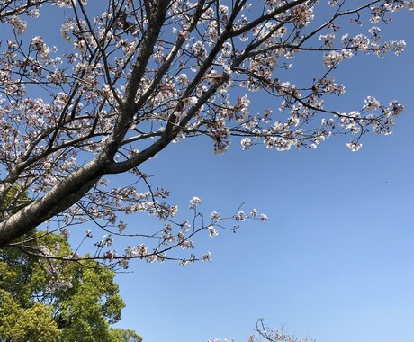 独学で公務員になった私が貴方を公務員に導きます 必ず合格を勝ち取る、予備校生には負けない独学の力教えます イメージ1