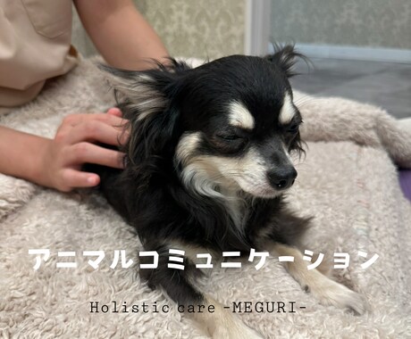 ペットさんとお話します＆伝えたいことをお伝えします 大好きな家族との絆をさらに深めるお手伝いをさせてください イメージ1