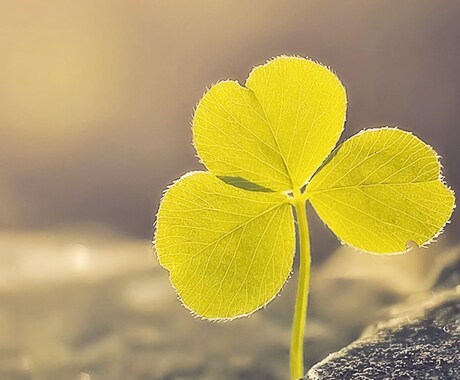 導かせて下さい！カードを使用して占います 人生を創造する…メッセージを。 イメージ2