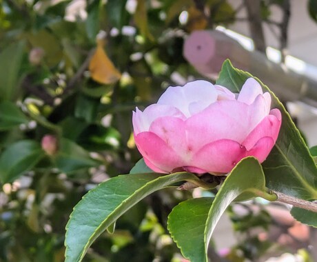 些細なことから愚痴まで何でも受け止めます 話して良かったと思って貰える時間を提供致します。 イメージ2