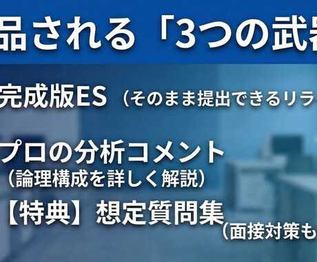 24時間以内にESの論理構成を整えます 伝わらない文章を「刺さる」表現へ。徹底言語化します イメージ2