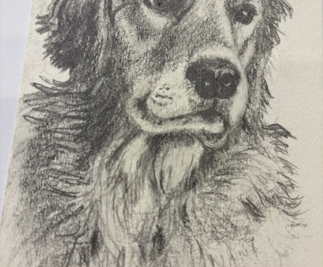 ペットの似顔絵描きます 愛ペットの似顔絵いかがですか？原画お送ります！ イメージ2