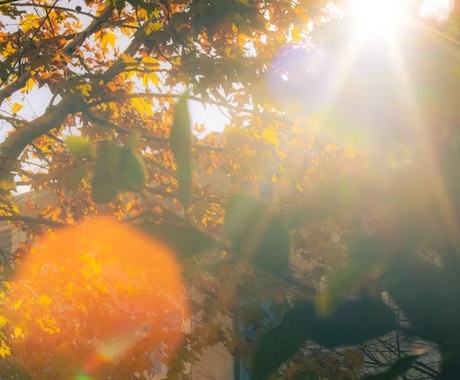 魂の前世・今世・来世を霊視鑑定致します 使命・才能・未来の流れを丁寧に詳細に読み解きます イメージ2