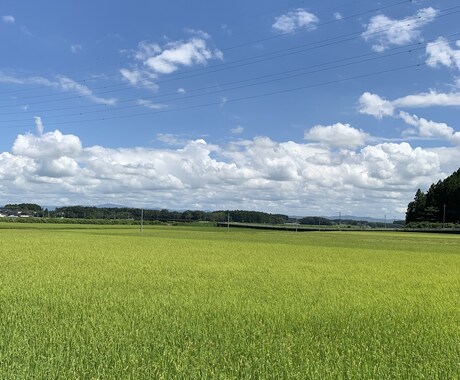 ご家族、当事者からのいじめ精神疾患の相談承ります 笑顔の日々を取り戻す為に、僕もお手伝いさせて頂きます イメージ1