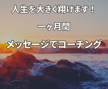 1ヶ月間、メッセージでコーチングします あなたに身近なマネージャーがいると人生が大きく翔きます！ イメージ1