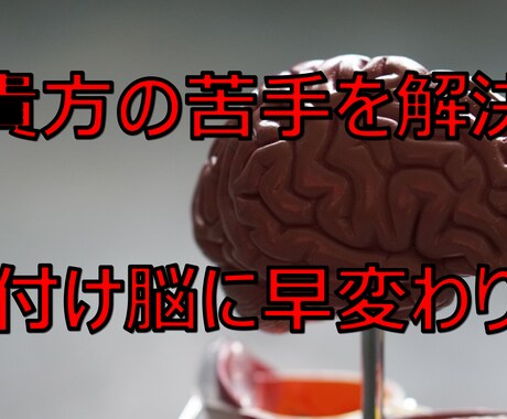 貴方の脳が片付けにおいて苦手な部分を見つけます 部屋を散らかしてしまう原因である脳を鍛えて解決！ イメージ1