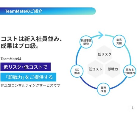 経験豊富なコンサルが企業運営を包括サポートします 低リスク・低コスト、伴走型コンサルティングで包括サポート イメージ2