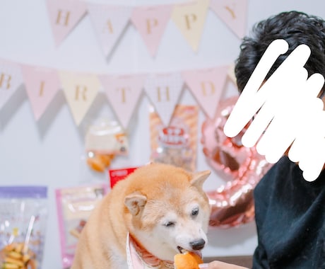 可愛い！ペット写真撮ります ペットの豊かな表情を！6hまで選択可能です！ イメージ1