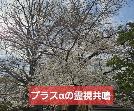 霊視共鳴α今のマイナス根っこプラスに底上げ変換ます もうダメ。。は卒業！過去からの脱却！14日後の自分を育てる！ イメージ1