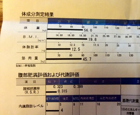 食事を調整してダイエットのアドバイスします 運動せずに健康的に痩せたい方へ イメージ1