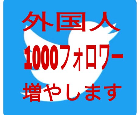 あなたの外国人フォロワー増やします ★海外でのビジネス展開を考えられている方必見★ イメージ1
