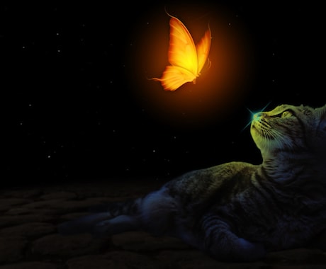 繊細さん向け　優しく寄り添ってお話しを聴きます 気兼ねなくゆっくり自分のペースでお話ししましょう✳︎ イメージ1