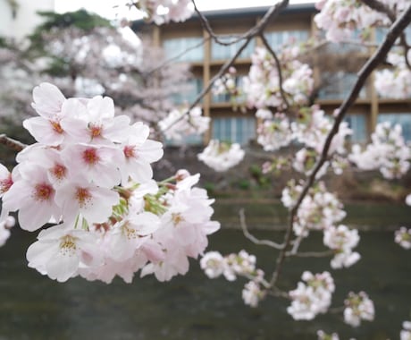 あなたの恋愛相談にのります これが最後の恋にしたいと思っているあなたへ イメージ1