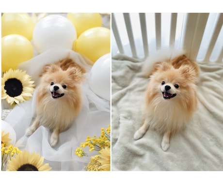 うちの子写真の背景合成致します うちの子写真を素敵なスタジオ撮影風に合成加工します イメージ1