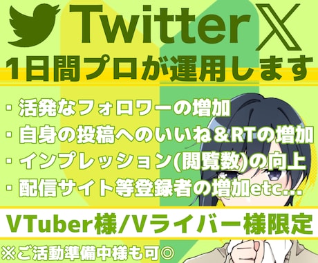 VTuber専用！プロがTwitterを運用します お試しで１日～ご利用◎Vライバー様も◎専属プロがXを運営！ イメージ1