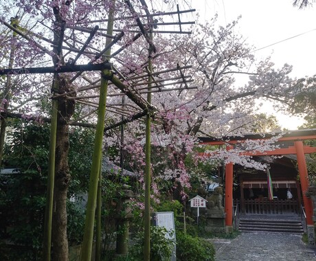 神社の御由緒調べます 近世の史料を使ってお宮の御由緒を調べます。 イメージ1