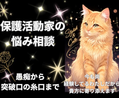 保護猫活動の悩み…孤独や辛いお気持ち聴きます 心が折れそうな活動者様へ。同じ活動者の私がお話聴きます。 イメージ1