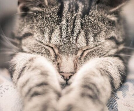 人に話しにくい悩み聞きます 人に話しにくい悩み相談相手になります イメージ1