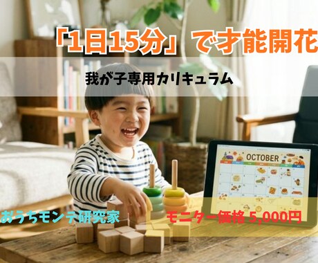 1日15分！我が子専用「知育カリキュラム」作ります 我が子の「好き」を才能に変える！迷わない知育計画表 イメージ1
