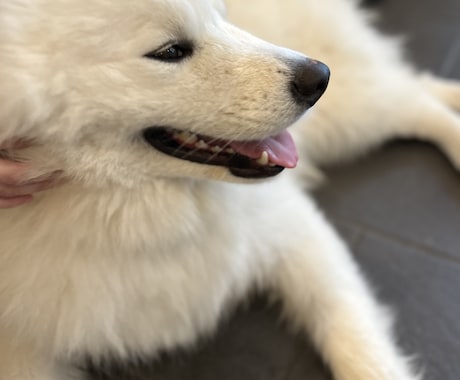 住宅ローンのご相談承ります どんな些細な事でもお気軽にお問い合わせください✨ イメージ1