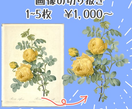 細かい画像も切り抜き・調整します 開設キャンペーン10月まで低価格にてご案内。 イメージ1