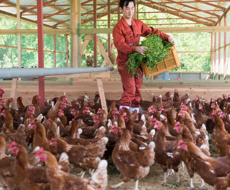 市場出荷しない農業経営の相談にのります 自分の商品としてブランディングし、生産物を売りましょう！ イメージ1