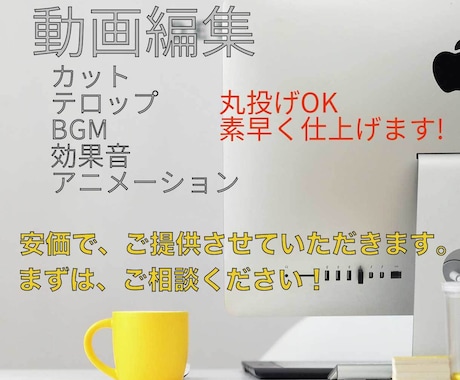 動画編集をします レスポンスは早く対応させていただきます。 イメージ1