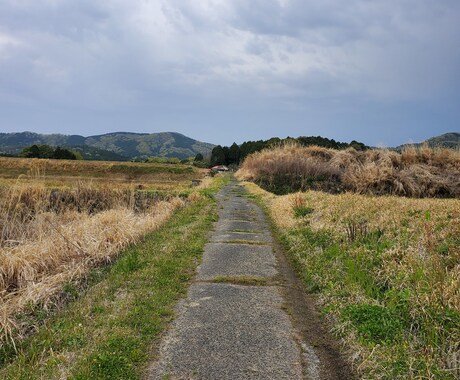 田舎ならではの風景の写真撮ります 田園風景などリクエストの風景写真撮ります！ イメージ2