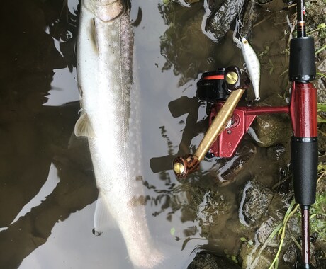 北海道のルアー渓流釣りのコツ色々おしえます イメージ1