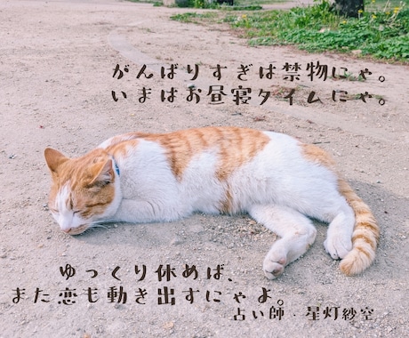 この恋どうなるにゃ？にゃんこ写真を添えて占います 気になる恋の未来を猫と一緒にタロットで占います イメージ2