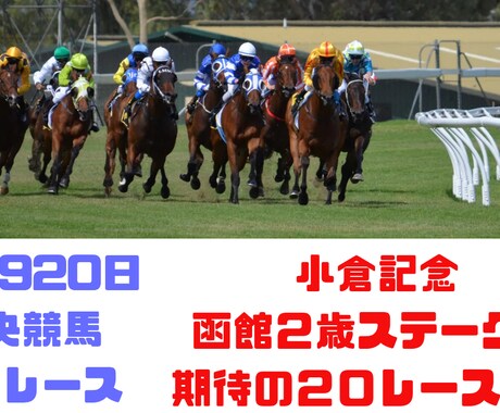 土日中央競馬！小倉記念や函館２歳S予想します 小倉記念や函館２歳など全２０レース予想 イメージ1