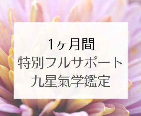 氣学でフルサポート鑑定します 1カ月間まるごと寄り添う特別プラン イメージ1