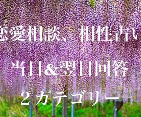 悩みや不安な事を占います ご自身の性格や本質や特質を知っていますか？ イメージ1