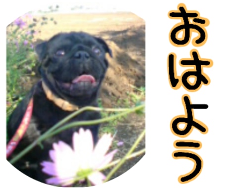 ペットボイスクリエイター。ペットの声届けます 貴方のペットが、何を思っているのか？などを紐解きます イメージ1