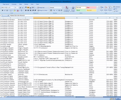 ドメイン登録者情報を提供します データベースを活用して新規登録ドメイン情報を取得 イメージ2