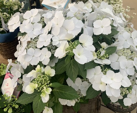 仕事や家事育児のお悩みをお聞きします あなたの生活の中で、少し休憩したいと思った時に是非‼️ イメージ2